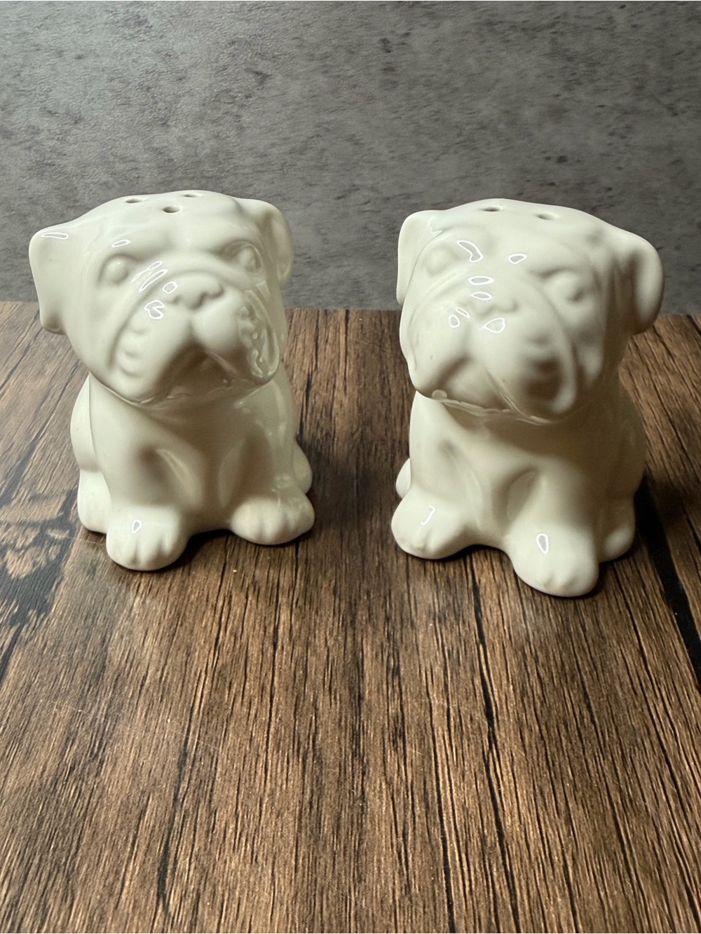 Ceramic Bulldog Salt & Pepper Shakers Set – White Glossy